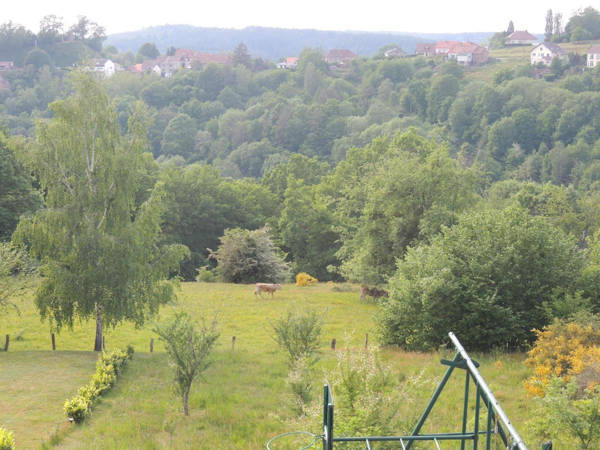 Au Chalet Bain Nordique Neuf Independant Calme Assure Haselbourg Luaran gambar
