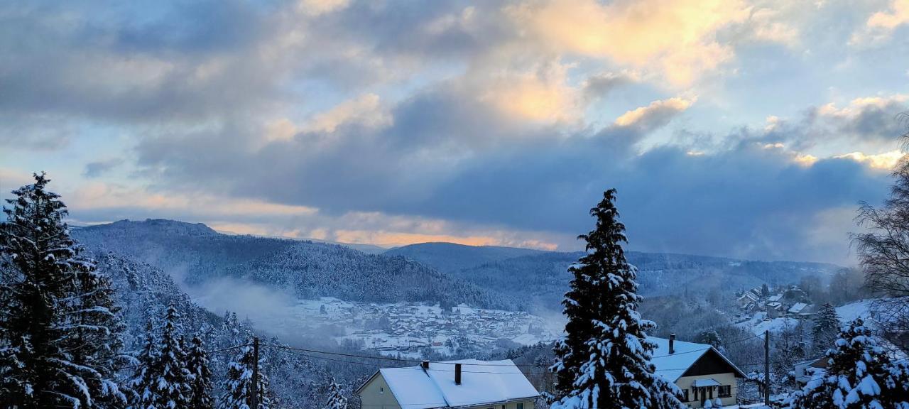 Au Chalet Bain Nordique Neuf Independant Calme Assure Haselbourg Luaran gambar